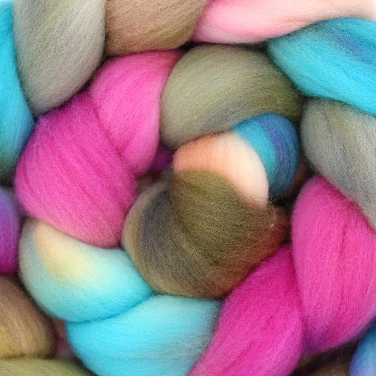 Coastal Blooms - Targhee