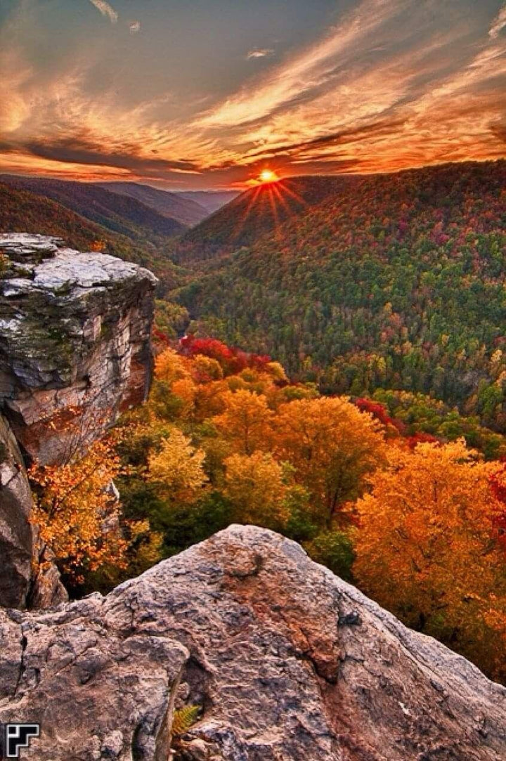 Allegheny Mountains - Natural Shaniko