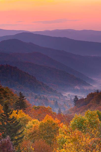 Appalachian Mountains - Natural Shaniko