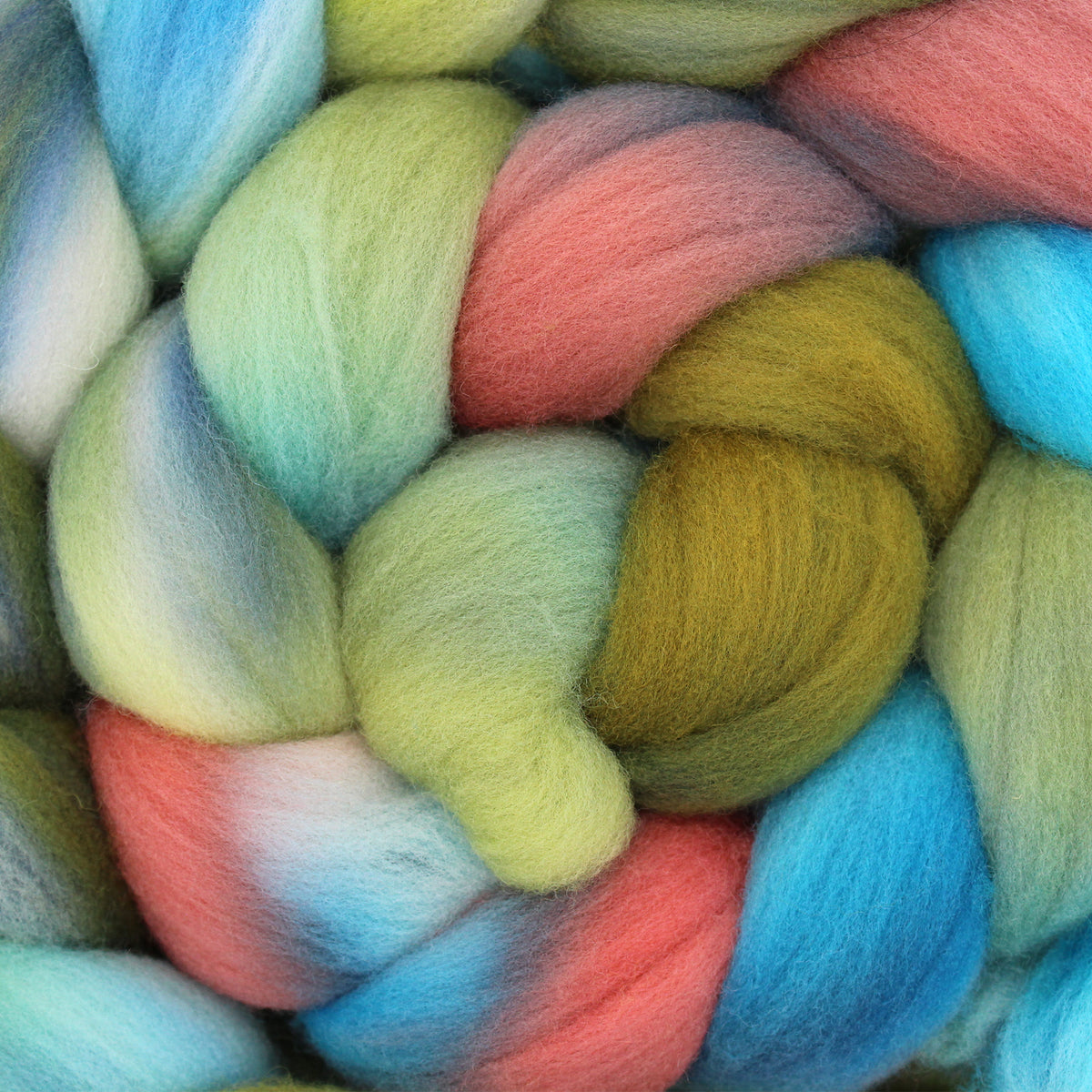 Blue Crab - Targhee
