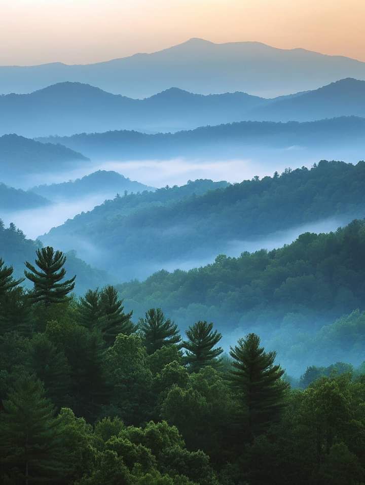 Blue Ridge Mountains - Natural Shaniko