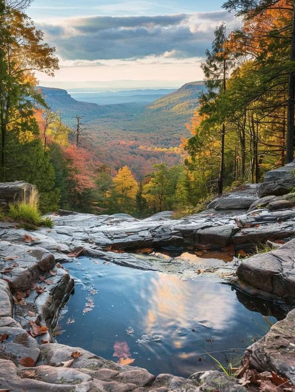 Catskills - Natural Shaniko