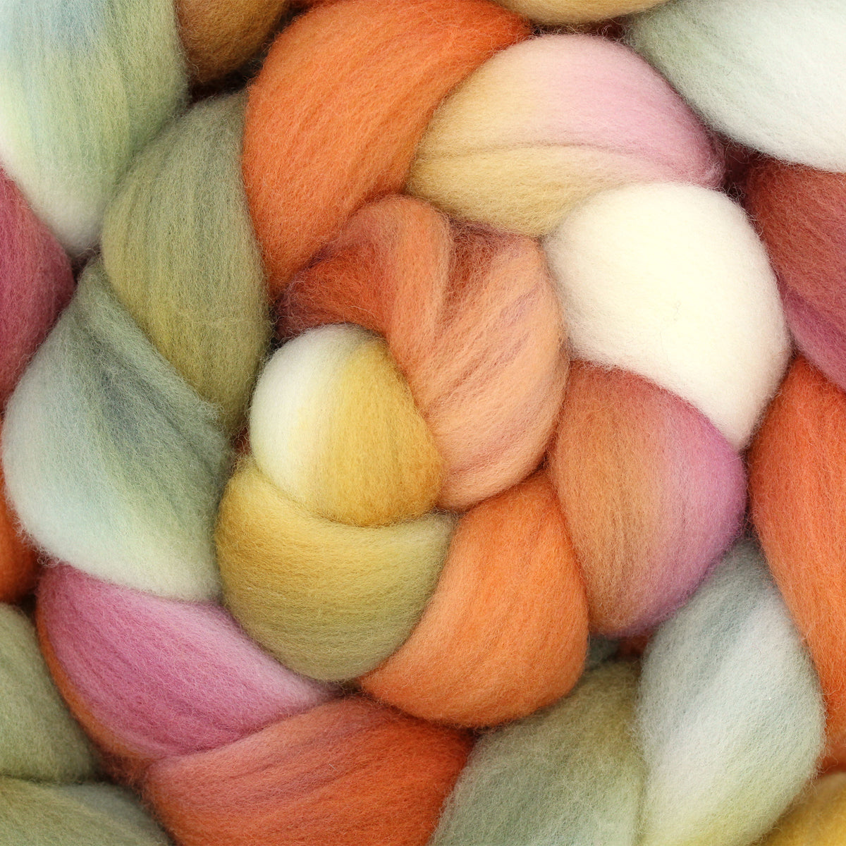 Cedar + Sage - Targhee