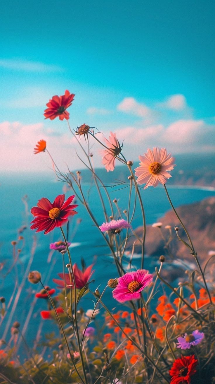 Coastal Blooms - Targhee