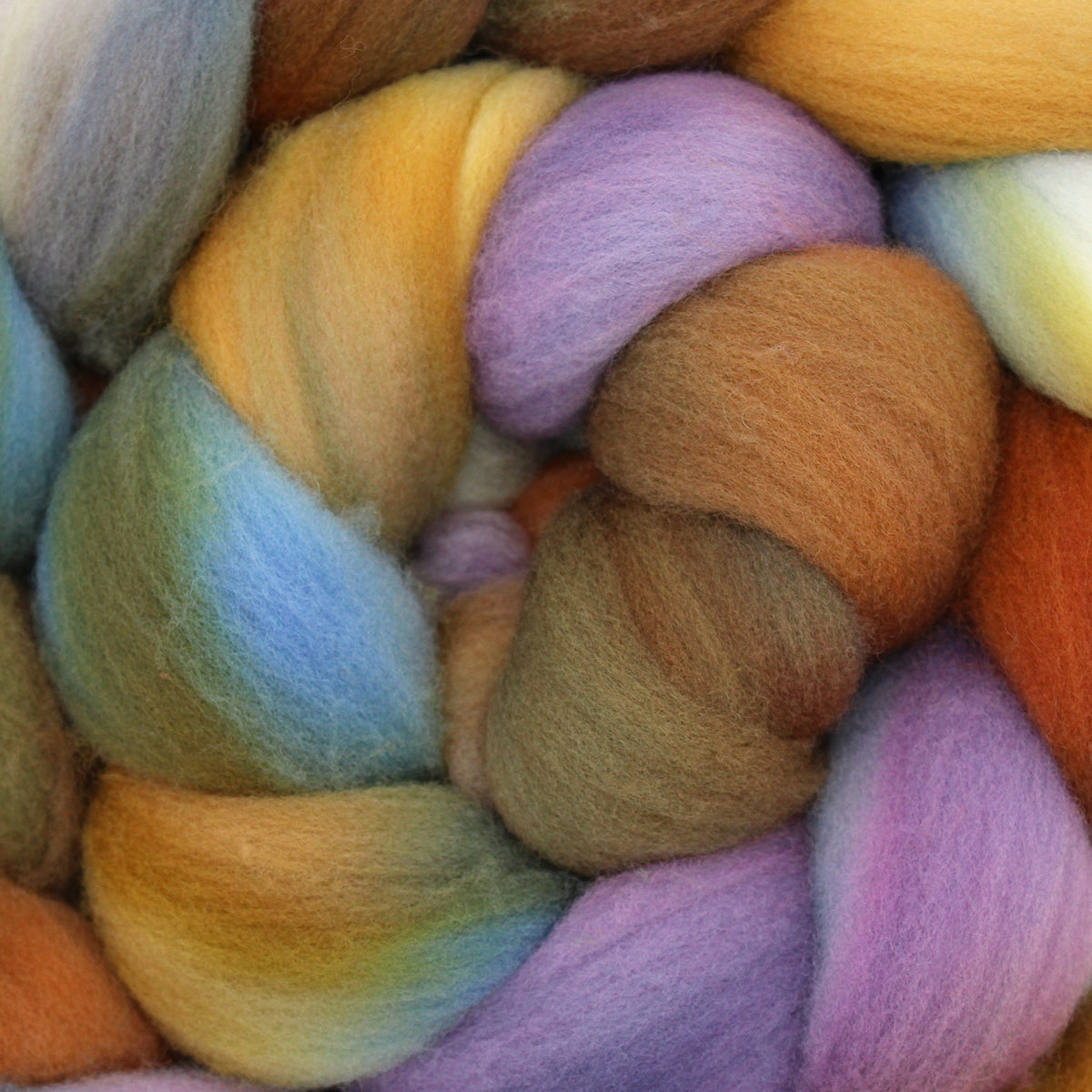 Fleece Force - Targhee