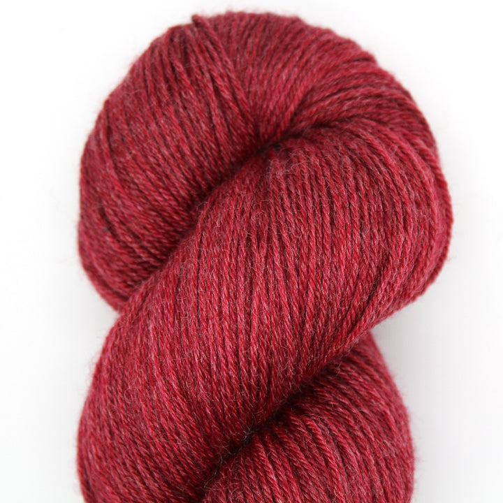 Scarlet DTO